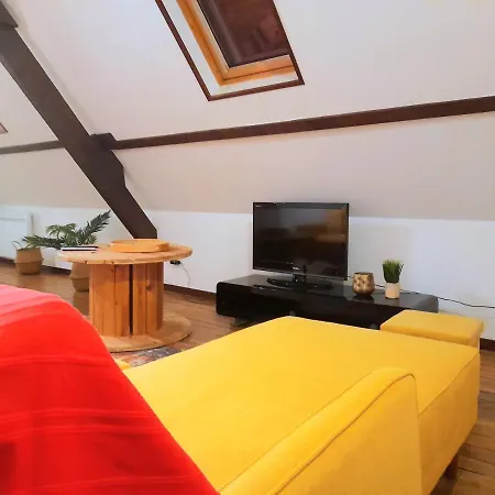 Le Nid D'Hirondelles - Appartement De Caractere Hypercentre Au Calme Bourges Extérieur photo