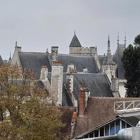 Le Nid D'Hirondelles - Appartement De Caractere Hypercentre Au Calme Bourges Extérieur photo