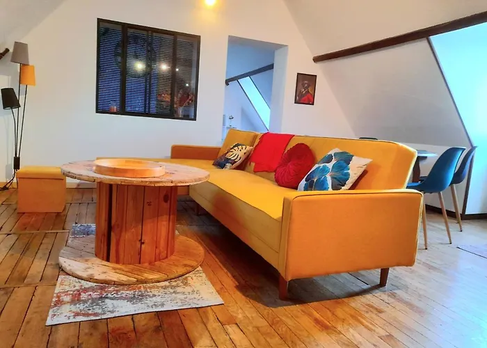 Le Nid D\'Hirondelles - Appartement De Caractere Hypercentre Au Calme